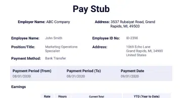 Paystub logo